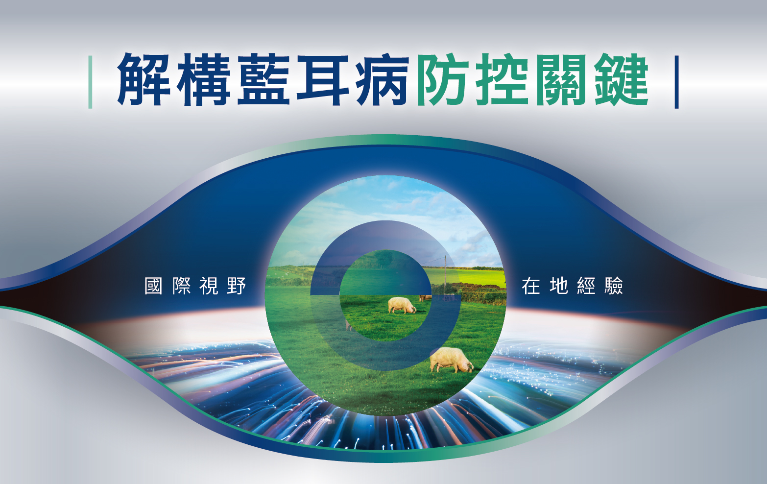 解構藍耳病防控關鍵 : 國際視野Ｘ在地經驗